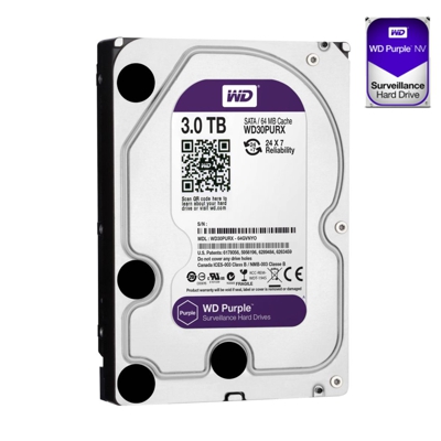 DISCO DURO WD Purpura 4 TB